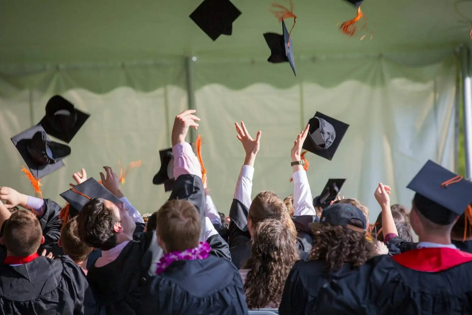 UK academic experts helping students